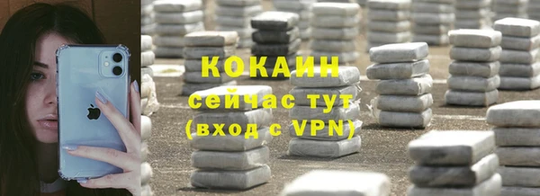 прущие грибы Нягань