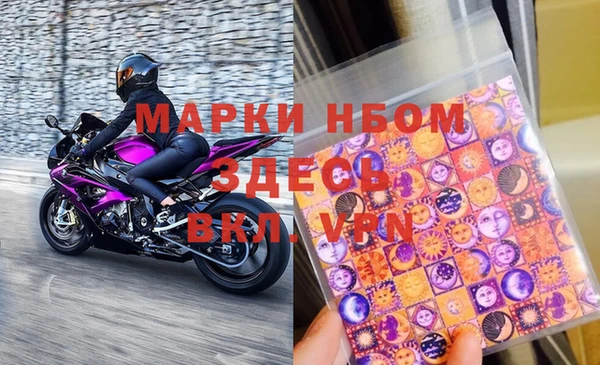 прущие грибы Нягань
