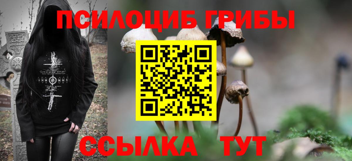 Псилоцибиновые грибы Magic Shrooms  Псилоцибиновые грибы Magic Shrooms  Тюмень  Вход с VPN 