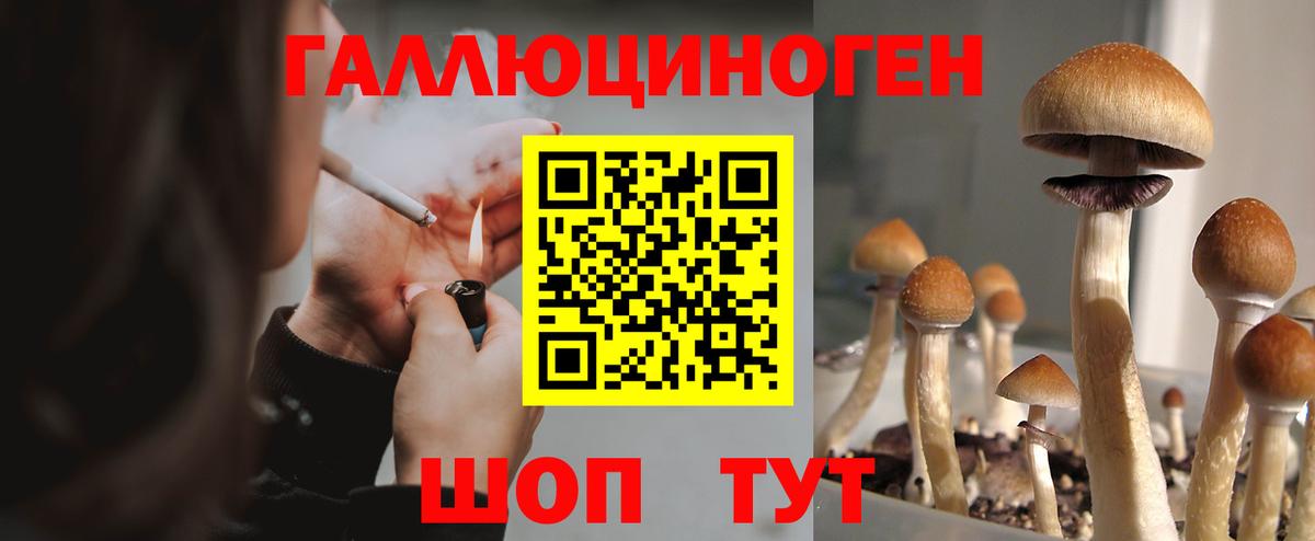 Псилоцибиновые грибы GOLDEN TEACHER  Тюмень  купить  сайты  Галлюциногенные грибы Psilocybe 